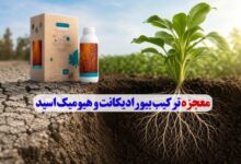 ترکیب بیورادیکانت و هیومیک اسید