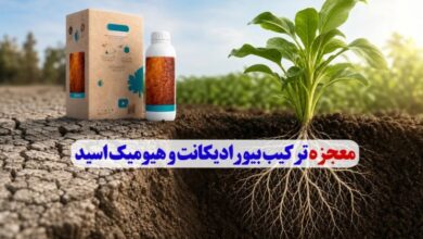 ترکیب بیورادیکانت و هیومیک اسید