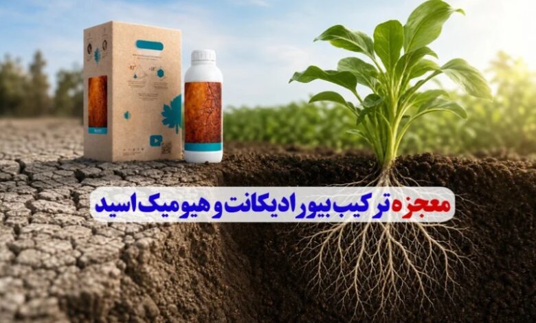ترکیب بیورادیکانت و هیومیک اسید